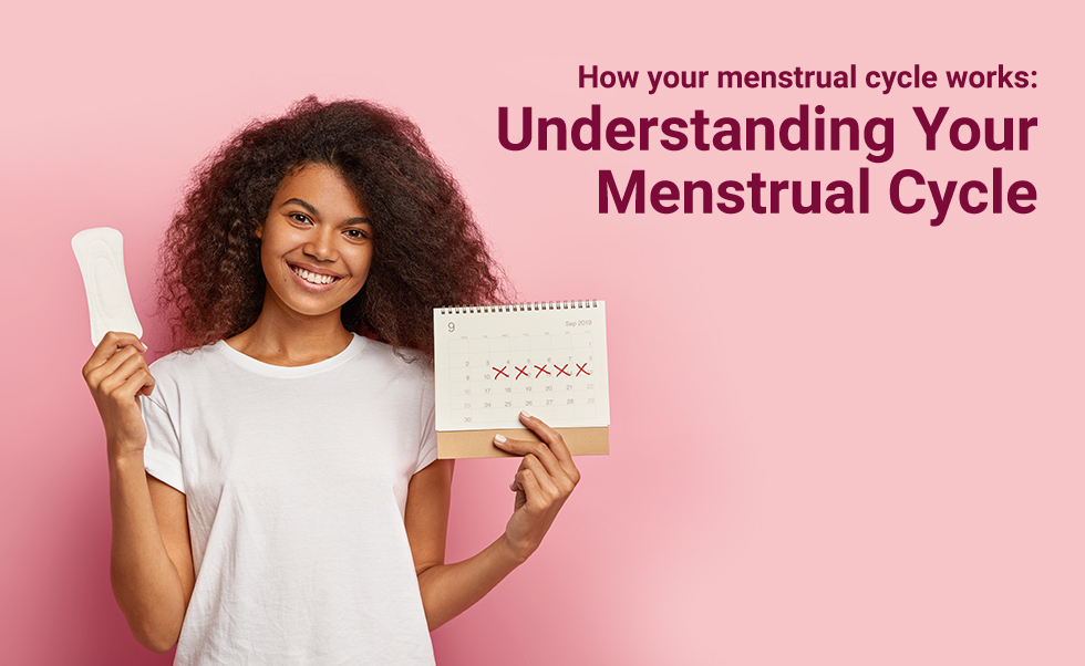 How your menstrual cycle works: Understanding Your Menstrual Cycle