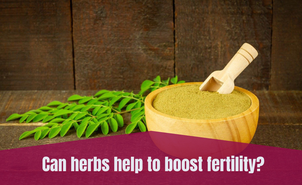 Can herbs help to boost fertility?